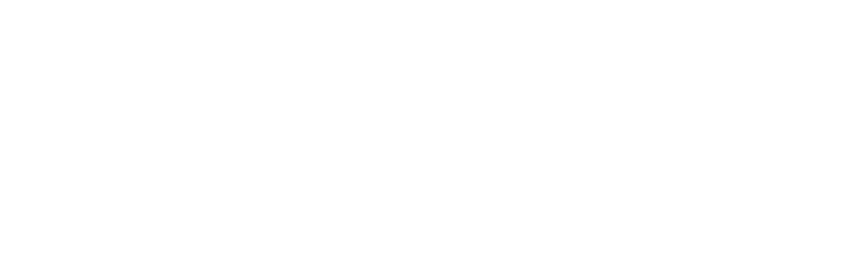 Shopify+ Partner