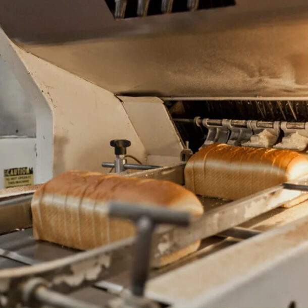 Bakery Box