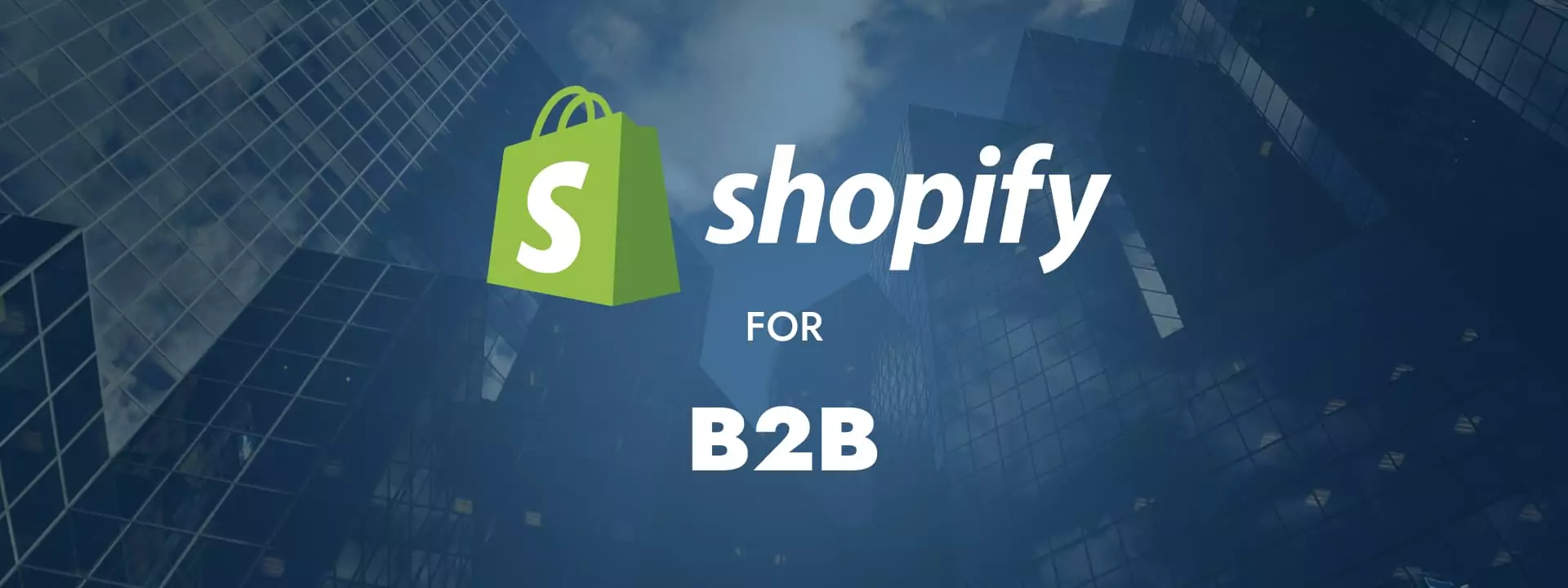 Shopify for B2B Companies: Features, Benefits, and How To Optimize Your Online Store